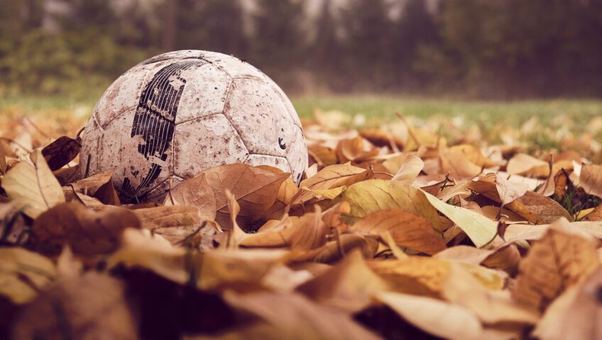 soccer, fall, leaves-4586282.jpg