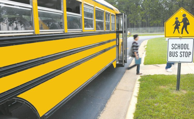 schoolbus, vehicle, bus-81717.jpg